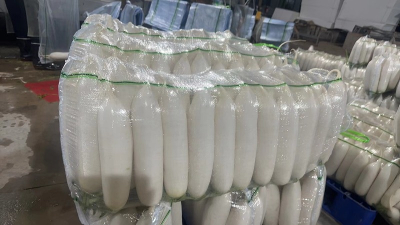 陕西定边白萝卜市场商超工厂规格多支持视频看货