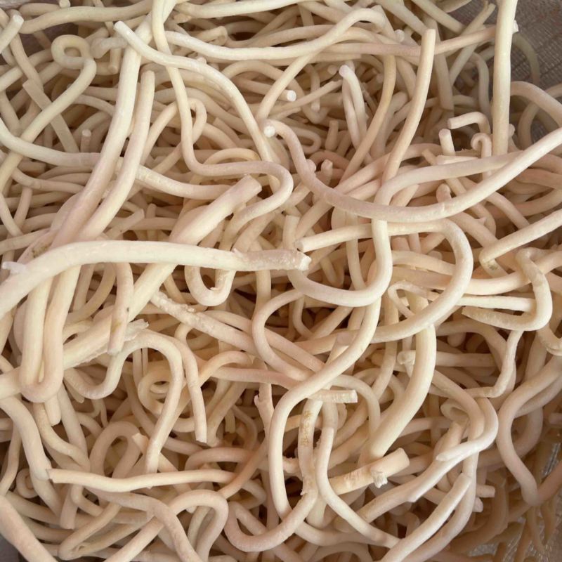 【顺欣药材】小通草干净无杂质价格低质量优