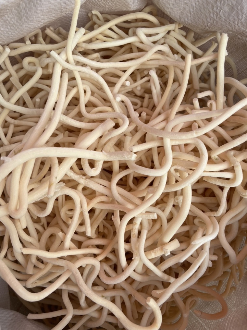 【顺欣药材】小通草干净无杂质价格低质量优