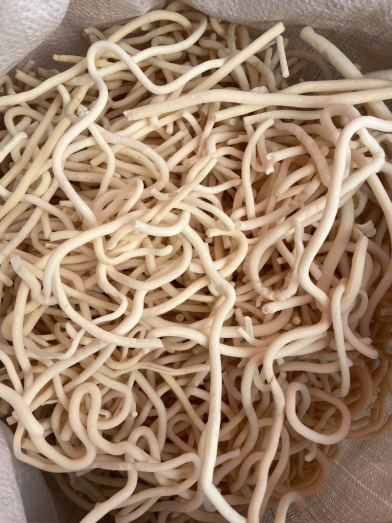 【顺欣药材】小通草干净无杂质价格低质量优