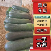 黑皮冬瓜地冬瓜糖厂加工厂冬瓜食堂冬瓜吊冬瓜
