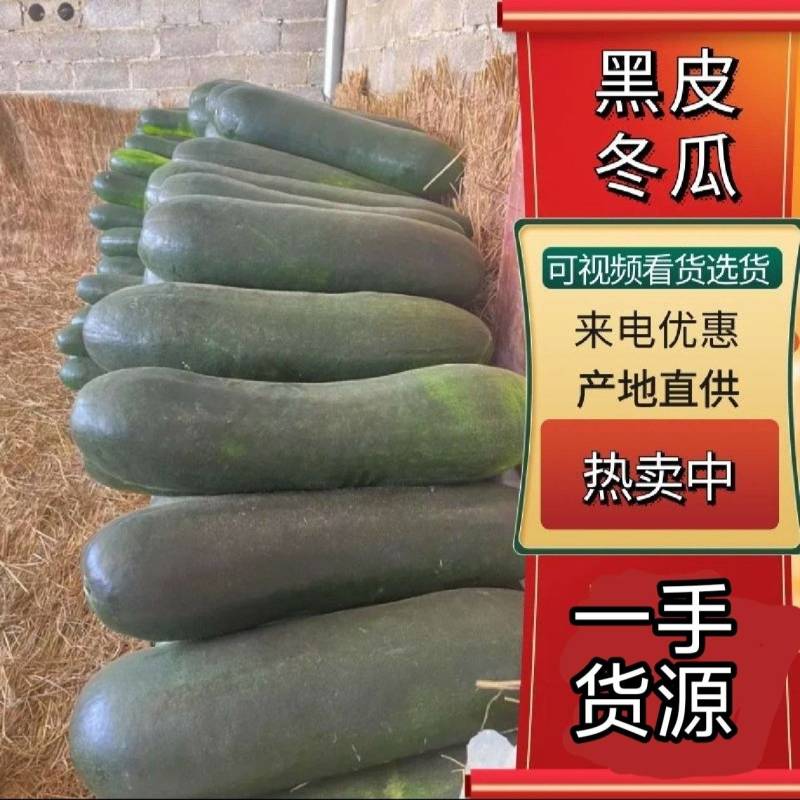黑皮冬瓜地冬瓜糖厂加工厂冬瓜食堂冬瓜吊冬瓜
