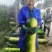 黑皮冬瓜地冬瓜糖厂加工厂冬瓜食堂冬瓜吊冬瓜
