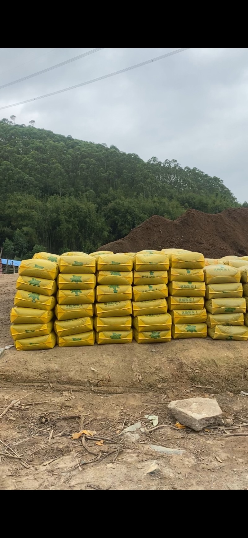 泥炭土营养土，园艺花卉绿植盆栽，市政工程绿化