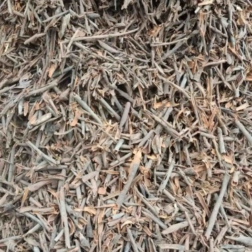 桂碎现货
