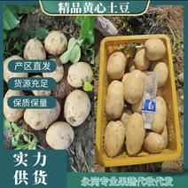 【精品土豆】齐元丰.沃土.产区大量现货供应，保质保量