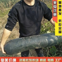 湖北精品黑皮冬瓜食堂冬瓜加工厂糖厂冬瓜地冬瓜