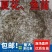 水花鱼苗各种淡水鱼水花苗，品类齐全，提供专业技术指导
