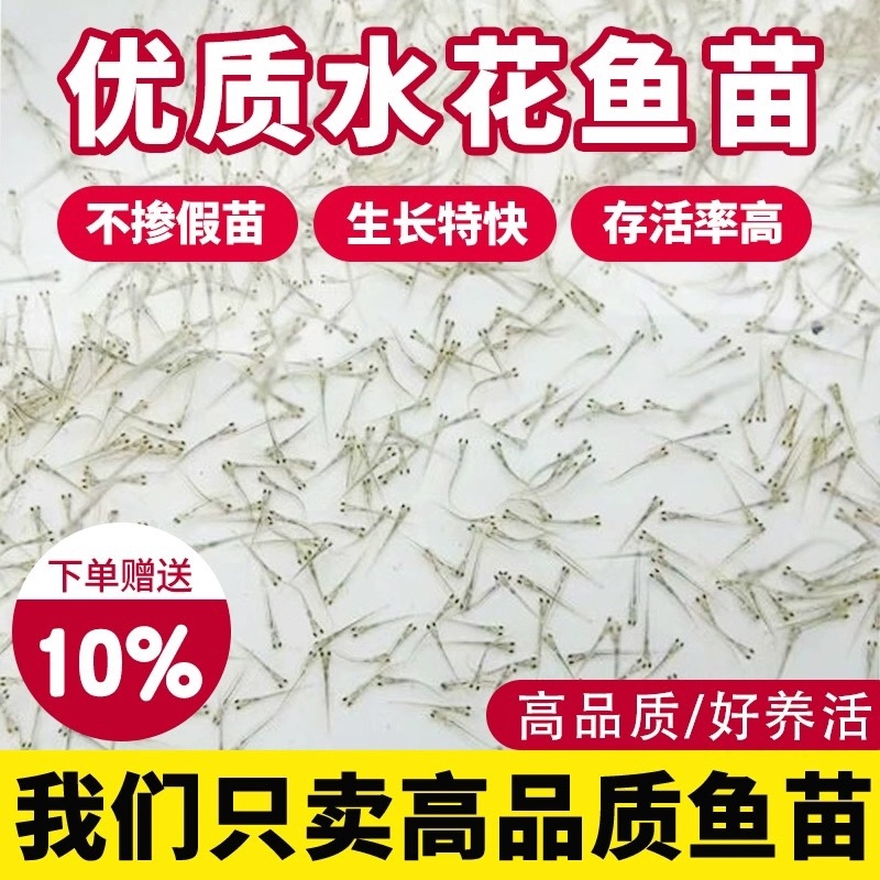 水花鱼苗各种淡水鱼水花苗，品类齐全，提供专业技术指导