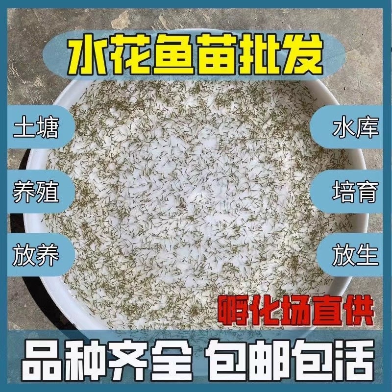 水花鱼苗各种淡水鱼水花苗，品类齐全，提供专业技术指导
