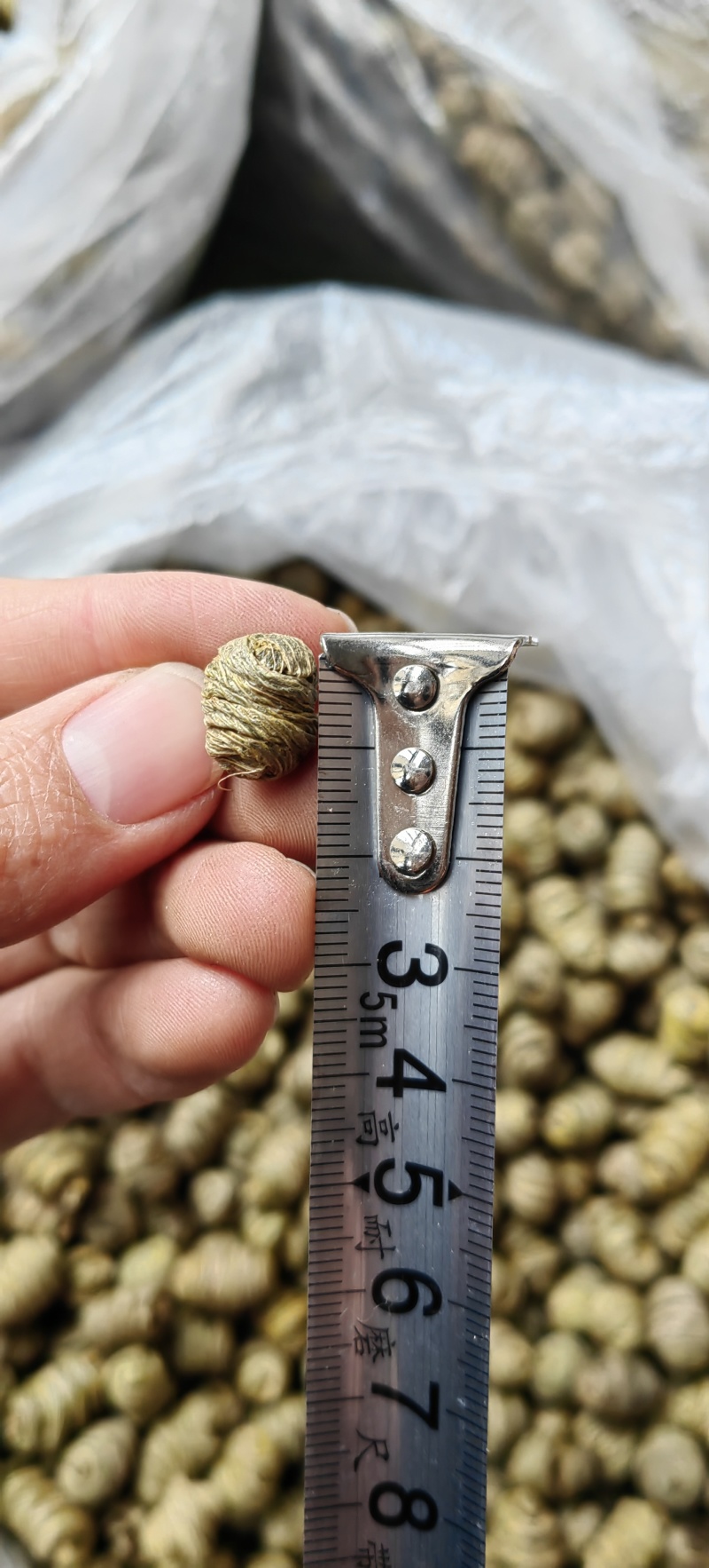 紫皮石斛枫斗石斛手工加工精品大枫斗中药材枫斗