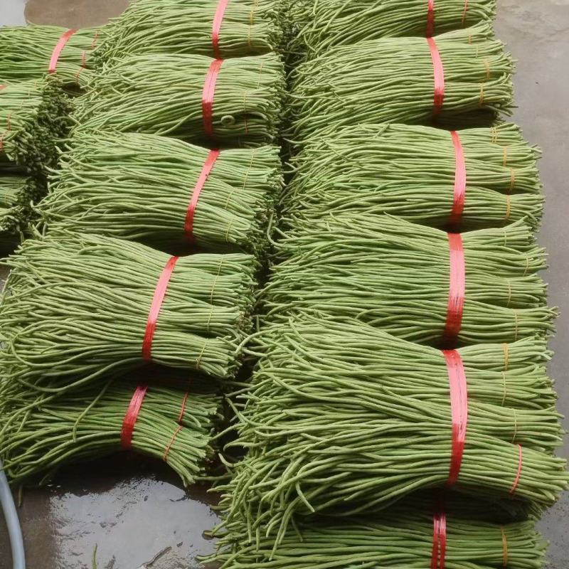 大量供应新鲜青豇豆青豆角腌豇豆绿条硬条子