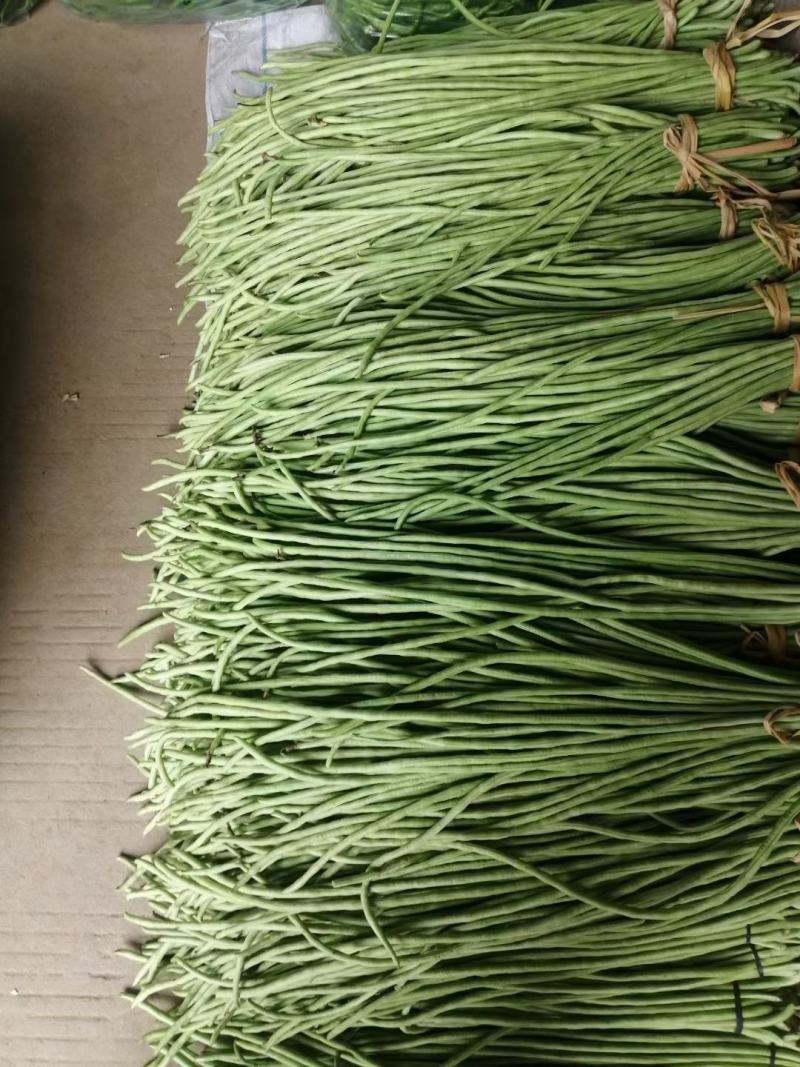 大量供应新鲜青豇豆青豆角腌豇豆绿条硬条子
