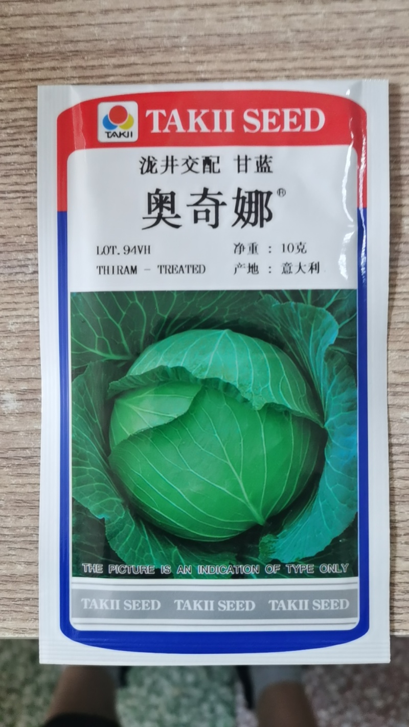 【奥奇娜】泷井交配甘蓝种子日本进口原装一代早熟耐高温耐裂