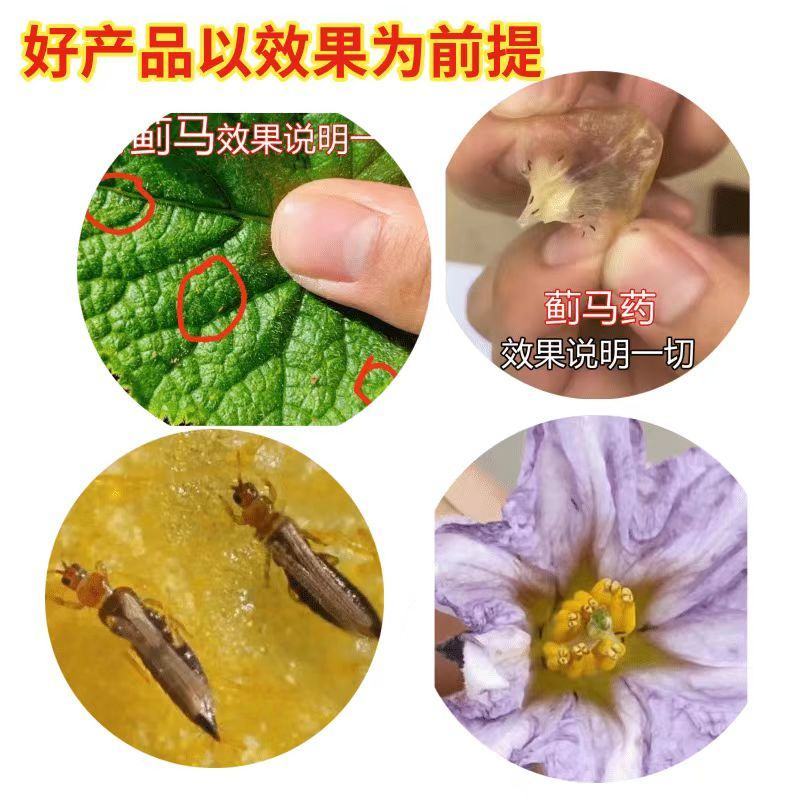抗性蓟马速效杀虫抑卵无抗性蔬菜果树花卉通用正品