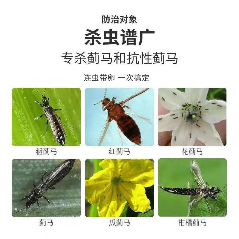 抗性蓟马速效杀虫抑卵无抗性蔬菜果树花卉通用正品