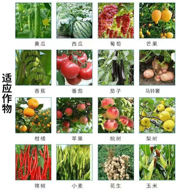 抗性蓟马速效杀虫抑卵无抗性蔬菜果树花卉通用正品