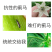 抗性蓟马速效杀虫抑卵无抗性蔬菜果树花卉通用正品