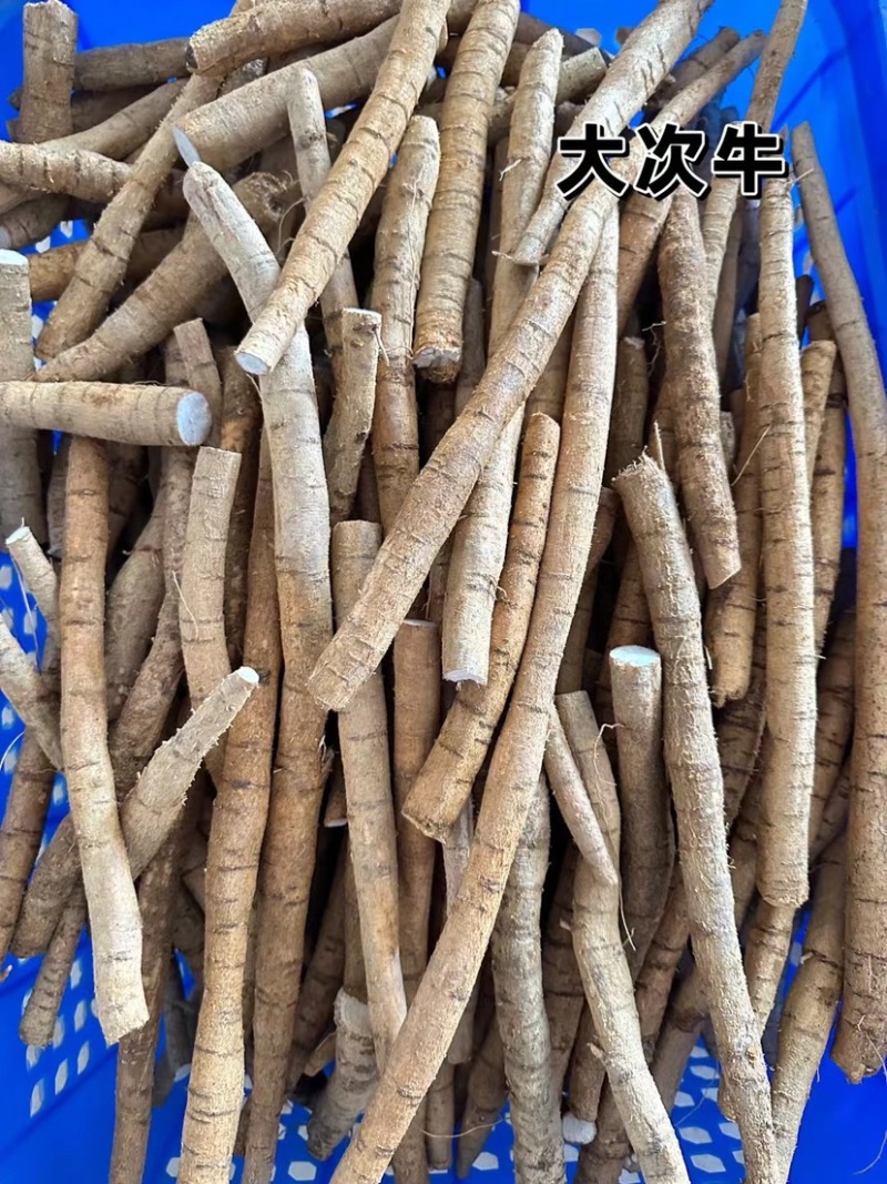 牛大力薯鲜货批发粉质新鲜薯种植中大叶品种长期供应