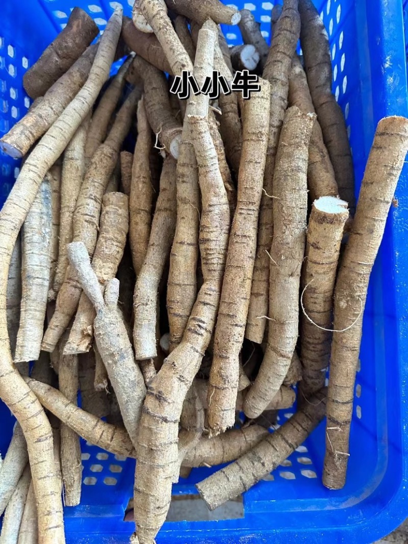 牛大力薯鲜货批发粉质新鲜薯种植中大叶品种长期供应