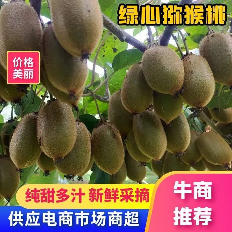 猕猴桃大量供应产地发货【社区团购电商直播批发市场超市】