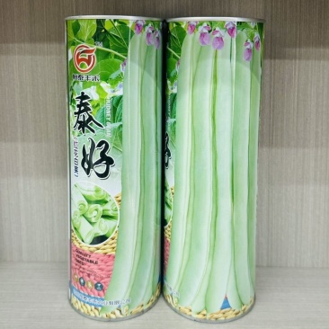 泰好红花白荚四季豆种子中早熟耐热高产芸豆架豆种籽大田基地
