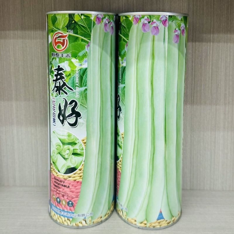 泰好红花白荚四季豆种子中早熟耐热高产芸豆架豆种籽大田基地