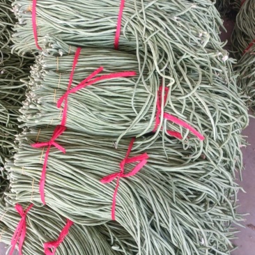 河南冷棚长豆角大量上市可供各大档口超市市场电商