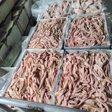 内蒙古呼伦贝尔牛小肠牛副产品各种规格产地直发质量保障