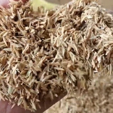 四川压缩稻壳/打包稻壳