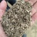花生秧草料