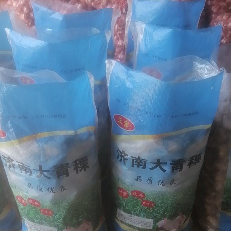 正宗商河大青稞蒜种