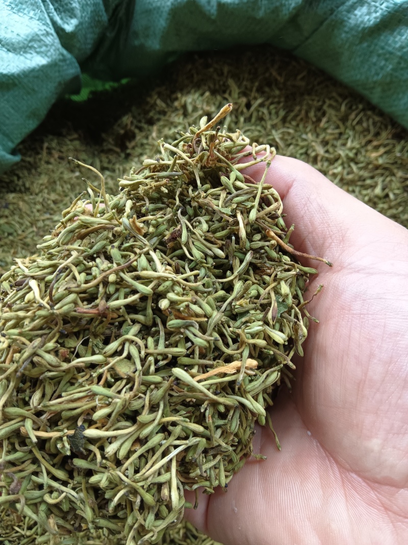 贵州精品金银花，籽花，有烘干机烘干的，有太阳晒干的，无流