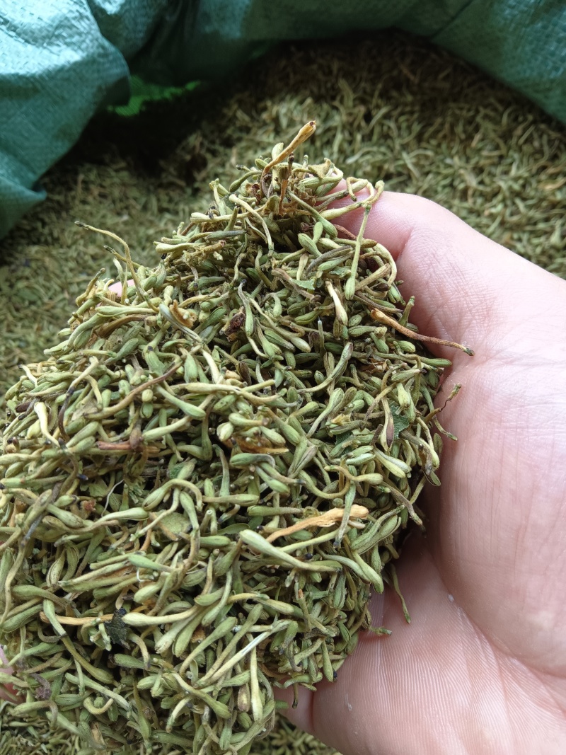 贵州精品金银花，籽花，有烘干机烘干的，有太阳晒干的，无流