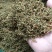 贵州精品金银花，籽花，有烘干机烘干的，有太阳晒干的，无流