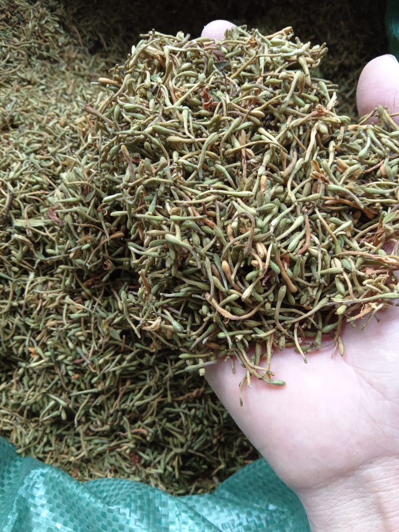 贵州精品金银花，籽花，有烘干机烘干的，有太阳晒干的，无流