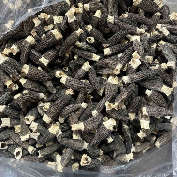 福建宁德食用菌干货羊肚菌，大量有货，欢迎咨询采购