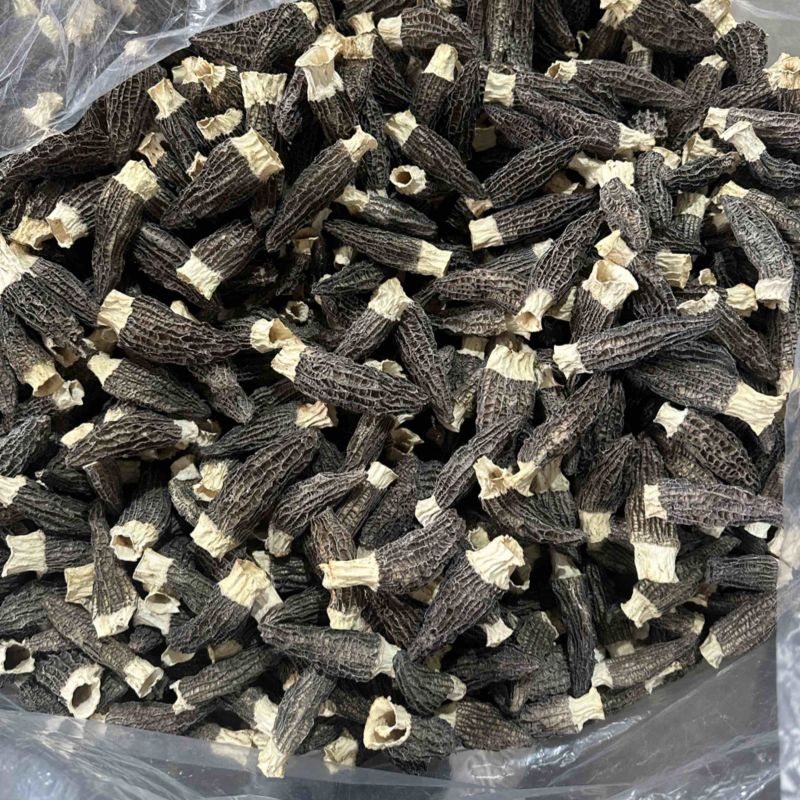 福建宁德食用菌干货羊肚菌，大量有货，欢迎咨询采购