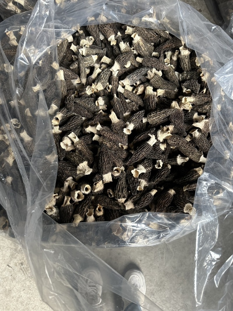福建宁德食用菌干货羊肚菌，大量有货，欢迎咨询采购