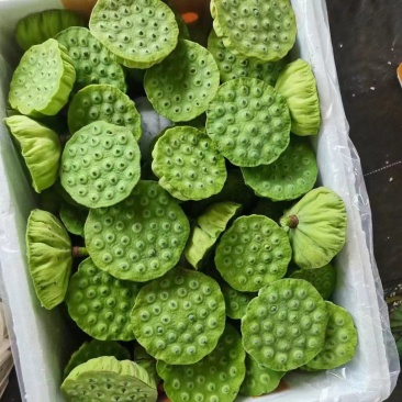 新鲜精品水果莲蓬