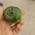 铁皮精彩8大量上市