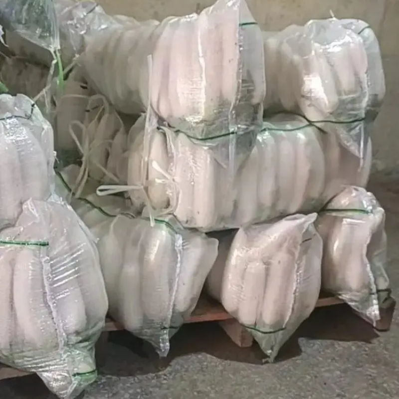 精品白萝卜大量上市对接市场超市团购产地直发