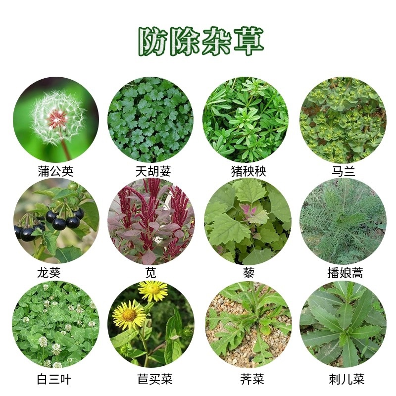 天邦天踪翠火-20%敌草快（货源充足欢迎咨询下单）