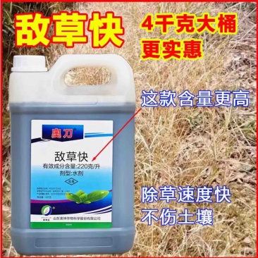 山东奥坤奥刀-220克/升敌草快（货源充足欢迎咨询下单