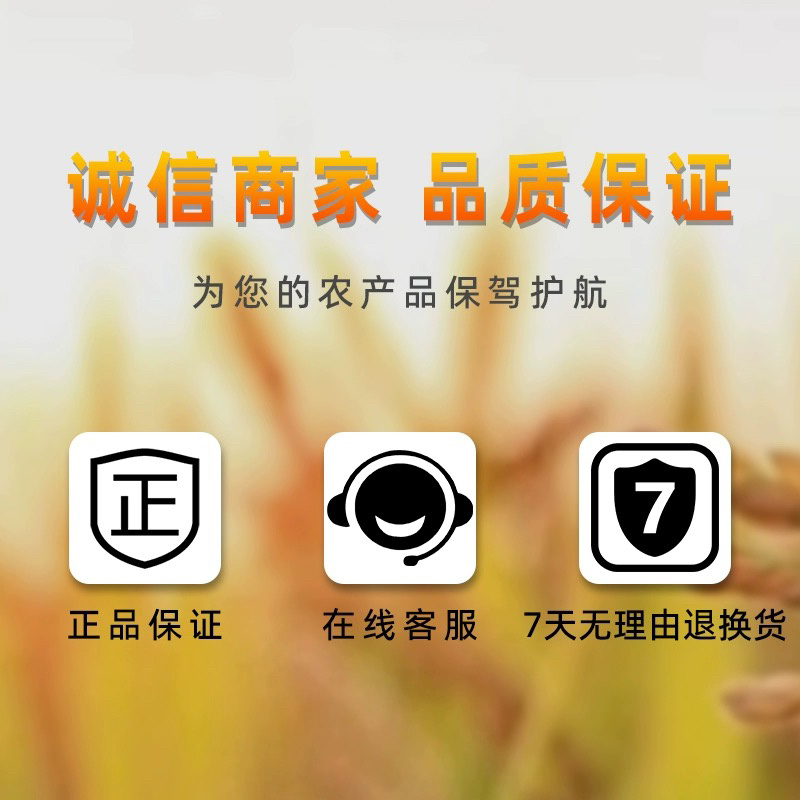 山东奥坤奥刀-220克/升敌草快（货源充足欢迎咨询下单