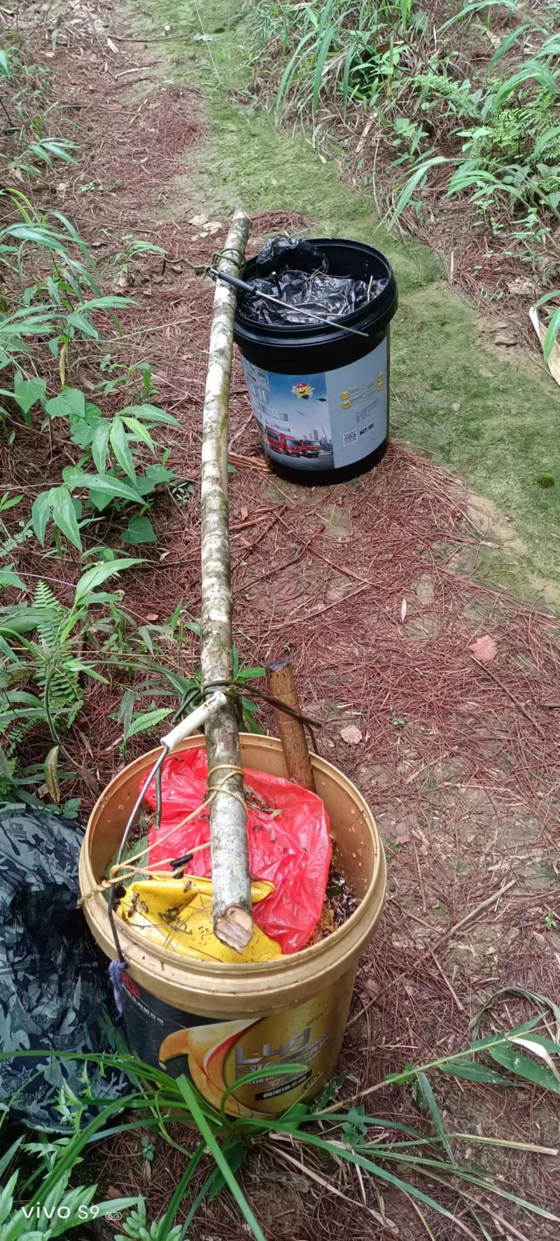 精品蜂蜜野蜂蜜货源充足量大从优质量不对接电商
