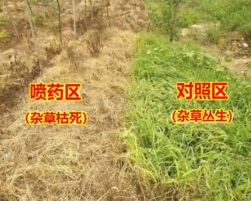 绿霸烈炎-20%敌草快（货源充足欢迎咨询下单）