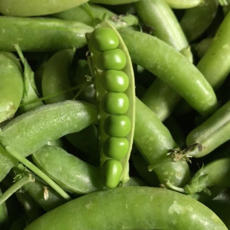 豌豆米青豌豆米长寿仁豌豆甜脆豌豆大量上市一件代发