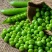 豌豆米青豌豆米长寿仁豌豆甜脆豌豆大量上市一件代发