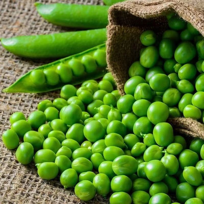 豌豆米青豌豆米长寿仁豌豆甜脆豌豆大量上市一件代发